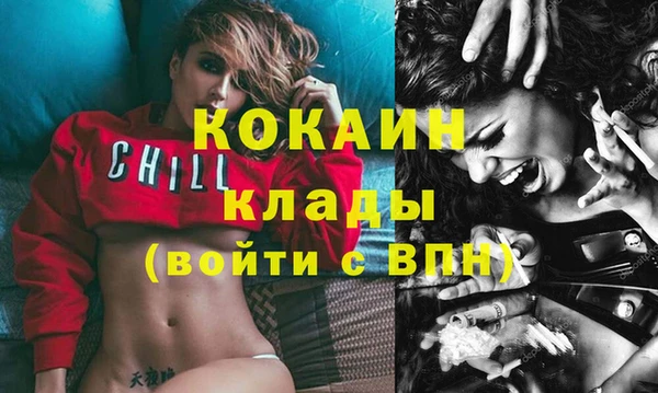 дживик Абинск