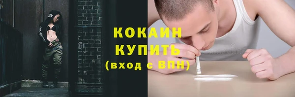 дживик Абинск