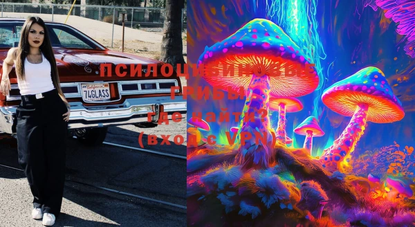 марки lsd Абаза